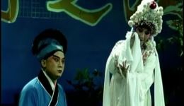 豫剧经典《断桥》高清下载，虎美玲倾情演绎，白蛇传名段资源速领下载