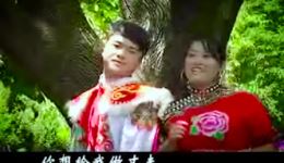 云南山歌《农村伙计天天忙》杨林陈军演唱 农村生活题材山歌下载下载