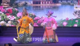 孟丽君