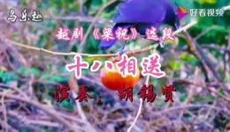 越剧《梁祝》十八相送选段下载 - 经典梁山伯与祝英台戏曲资源下载