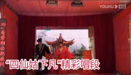 邵阳花鼓戏《四仙姑下凡》精彩唱段下载，赵凤仙等名家演绎，正宗地方戏曲资源