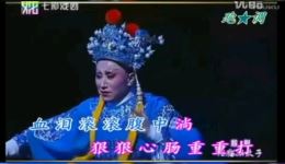 狸猫换太子