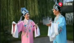 豫剧《梁祝》十八里相送任三印、马晓雅经典演唱，下载必看下载