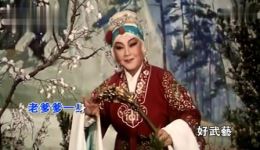 豫剧《对花枪》马金凤经典伴奏下载，南阳地选段原声资源下载