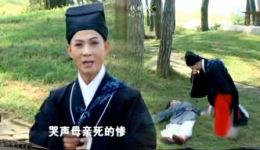 泪美人