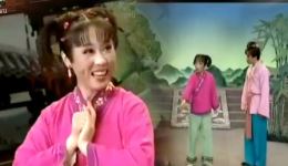 黄梅戏《打猪草》吴琼余顺主演，经典传统小戏完整版下载