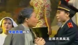 豫剧《花喜鹊》伴奏资源下载，王燕经典唱段，豫剧名家演绎温情故事