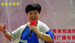 豫剧《打銮驾》选段下载董爱云李凤莉经典演唱，传统名剧精彩呈现下载