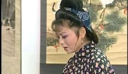 庐剧《借腹生子》宽屏版在线观看，吴南野刘长芳昂小红主演，伦理情感大戏下载下载