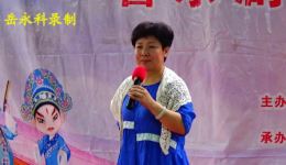 豫剧《打金枝》选段，董爱云精彩演绎，经典戏曲在线下载
