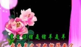 豫剧伴奏《桃花庵》刘修元经典演绎，情感深沉，免费戏曲资源在线畅听