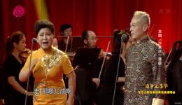 京剧《沙家浜》选段下载，何澍胡璇演唱经典智斗片段下载
