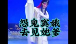 窦娥冤·托梦