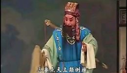 牡丹对药
