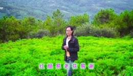 贵州山歌《天知地知你不知》杨泽演唱，地道山歌韵味，完整资源在线畅听