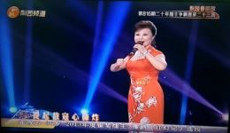 梨园春二十年总霸主年终总决赛高清全场视频下载，名家助阵擂主巅峰对决