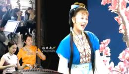 黄梅戏《金玉奴》何云周珊经典演唱，老丈招婿剧情精彩呈现，高清戏曲资源下载下载