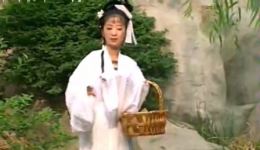 庐剧《苦命的儿子》全集下载｜吴南野、孙道华主演 六集完整版资源 经典苦情剧在线观看下载
