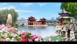 湘剧高腔《金丸记》全集下载 - 经典宫廷大戏狸猫换太子剧情在线获取