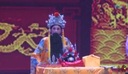 杨松慧演唱豫剧《打金枝》经典选段，正宗豫剧韵味在线免费畅享