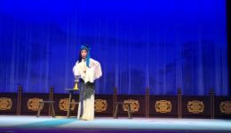 山东梆子经典剧目《女贞花》高清下载,陈静演绎凄美爱情,感受传统戏曲魅力 山东梆子经典剧目《女贞花》高清下载,陈静演绎凄美爱情,感受传统戏曲魅力