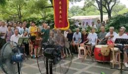 杨八姐游春