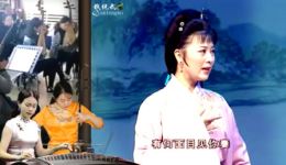 黄梅戏《金玉奴》何云周珊演唱 经典片段在线下载下载