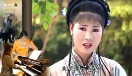 黄梅戏《私生子》经典选段在线下载,传统戏曲情感纠葛剧情欣赏 黄梅戏《私生子》经典选段在线下载,传统戏曲情感纠葛剧情欣赏