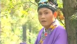 庐剧《孤儿流浪记》选段下载，吴南野刘长芳曹培强主演，经典戏曲资源在线获取下载