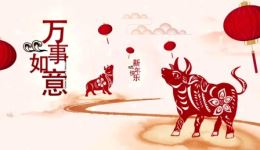 蒲剧《对花枪》全剧下载 - 运城市蒲剧团经典剧目在线观看下载