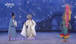 河北梆子《白蛇传》经典片段在线下载,高清戏曲资源免费获取 河北梆子《白蛇传》经典片段在线下载,高清戏曲资源免费获取