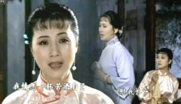 黄梅戏《家》选段周莉吴亚玲深情对唱，青梅竹马情脉脉完整呈现