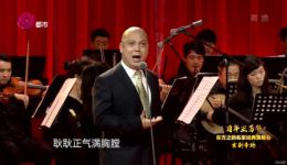 平原作战