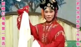 棒打鸳鸯