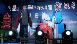 楚剧折子戏《吴天寿观书》在线观看 程力徐文亚演绎经典冤情求助戏码下载