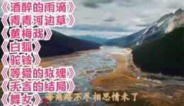 黄梅戏《青青河边草》《白狐》《驼铃》《无言的结局》全集高清下载 - 正版戏曲资源网 黄梅戏《青青河边草》《白狐》《驼铃》《无言的结局》全集高清下载 - 正版戏曲资源网