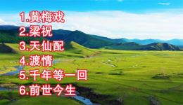 梁祝天仙配渡情千年等一回前世今生