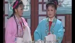 庐剧《红楼梦》1至2集全集下载，孙道华经典演绎，领略传统戏曲魅力下载