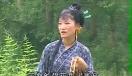 庐剧《三女拜寿》全集下载｜孙道华吴南野主演，总六集完整呈现，经典孝道戏曲在线获取下载