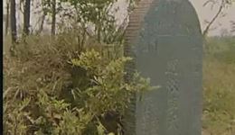 我爱我爹