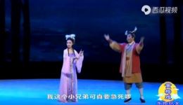 黄梅戏电影《牛郎织女》全集高清下载 - 严凤英黄宗毅经典演绎神话爱情下载