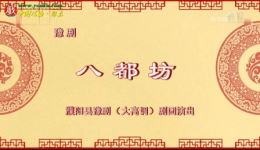 豫剧《八都坊》全场戏在线观看 苏永堂常素贞盛晓利主演历史廉政剧下载下载