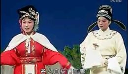 庐剧《追婚记》完整版下载丁书静沈宏萍刘世翠主演，经典古装戏曲资源下载