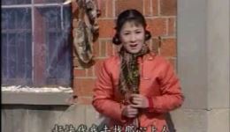 《庐剧现代戏《苦难人生》全集在线观看-孙晓云、朱德顺主演庐剧经典之作下载