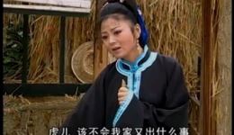庐剧《一村都是丈母娘》全集下载 郑芳主演 五集完整资源下载
