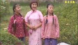 庐剧现代戏《苦菜花—报复》全集下载 刘长芬演唱 总四集精彩呈现下载