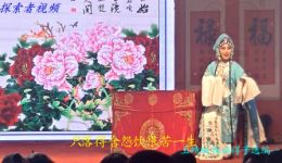 扬剧《玉蜻蜓》探病得子选段，赵紫君王瑞如精彩演唱在线下载下载