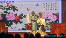 扬剧《玉蜻蜓》选段赵紫君王瑞如深情演绎，七年前端阳故事在线下载下载