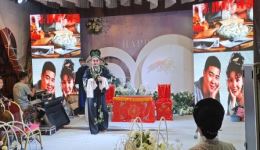 荆州花鼓戏《喜结良缘》全集在线观看，薛勇沈、沈月新主演，经典地方戏曲资源下载