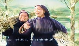 1965年越调电影《卖箩筐》上集高清下载 毛爱莲主演经典戏曲资源
